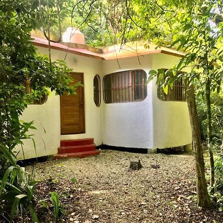 Jolie Jungle Eco Hotel (Adults Only) Leona Vicario المظهر الخارجي الصورة