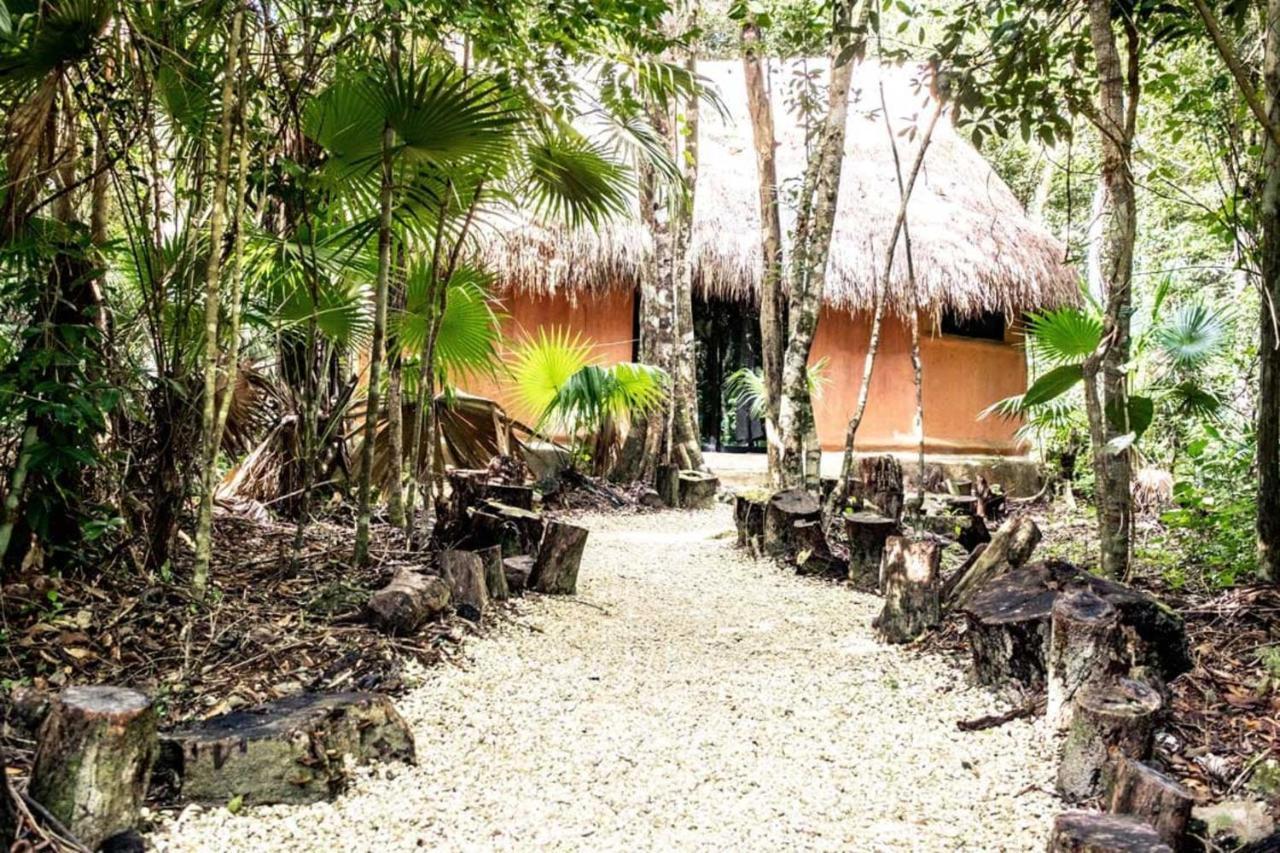 Jolie Jungle Eco Hotel (Adults Only) Leona Vicario المظهر الخارجي الصورة