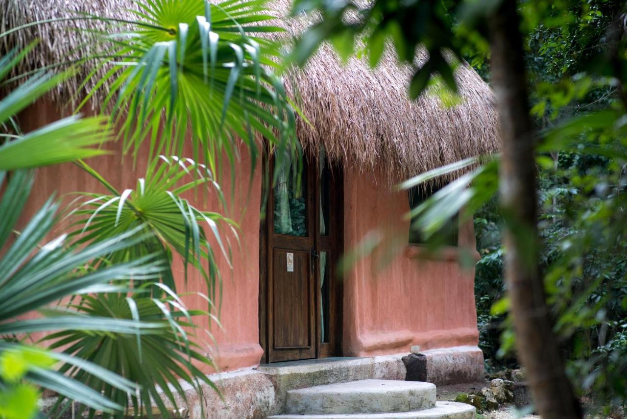 Jolie Jungle Eco Hotel (Adults Only) Leona Vicario المظهر الخارجي الصورة