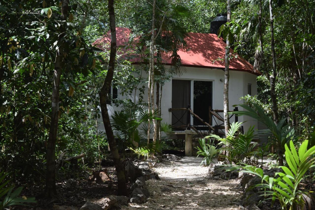 Jolie Jungle Eco Hotel (Adults Only) Leona Vicario المظهر الخارجي الصورة