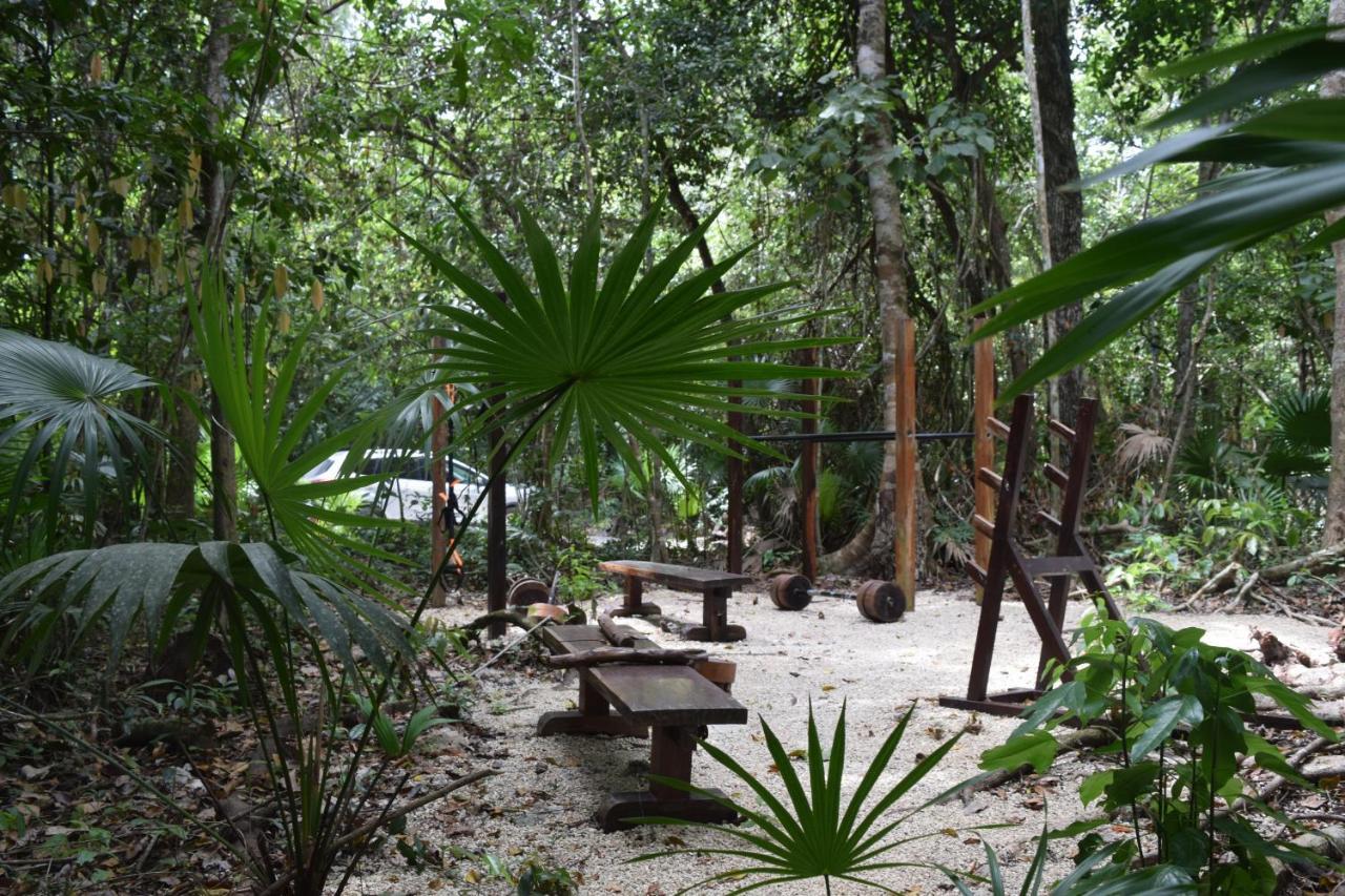 Jolie Jungle Eco Hotel (Adults Only) Leona Vicario المظهر الخارجي الصورة