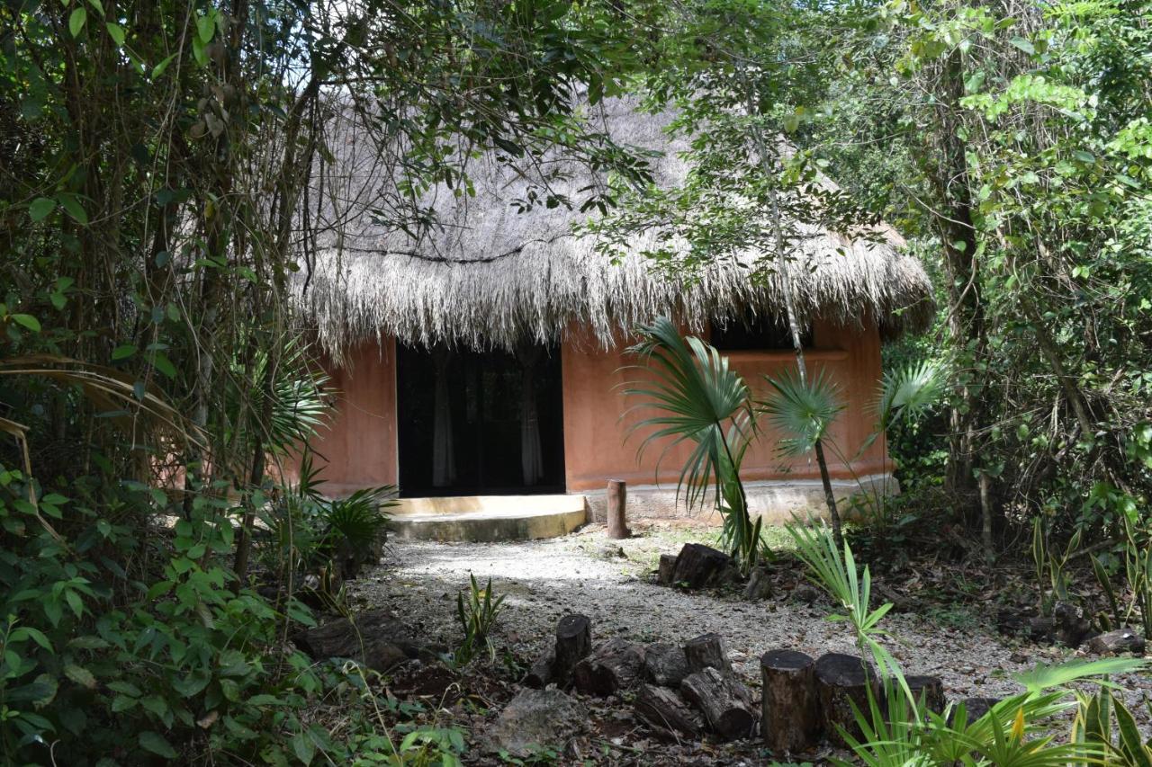 Jolie Jungle Eco Hotel (Adults Only) Leona Vicario المظهر الخارجي الصورة