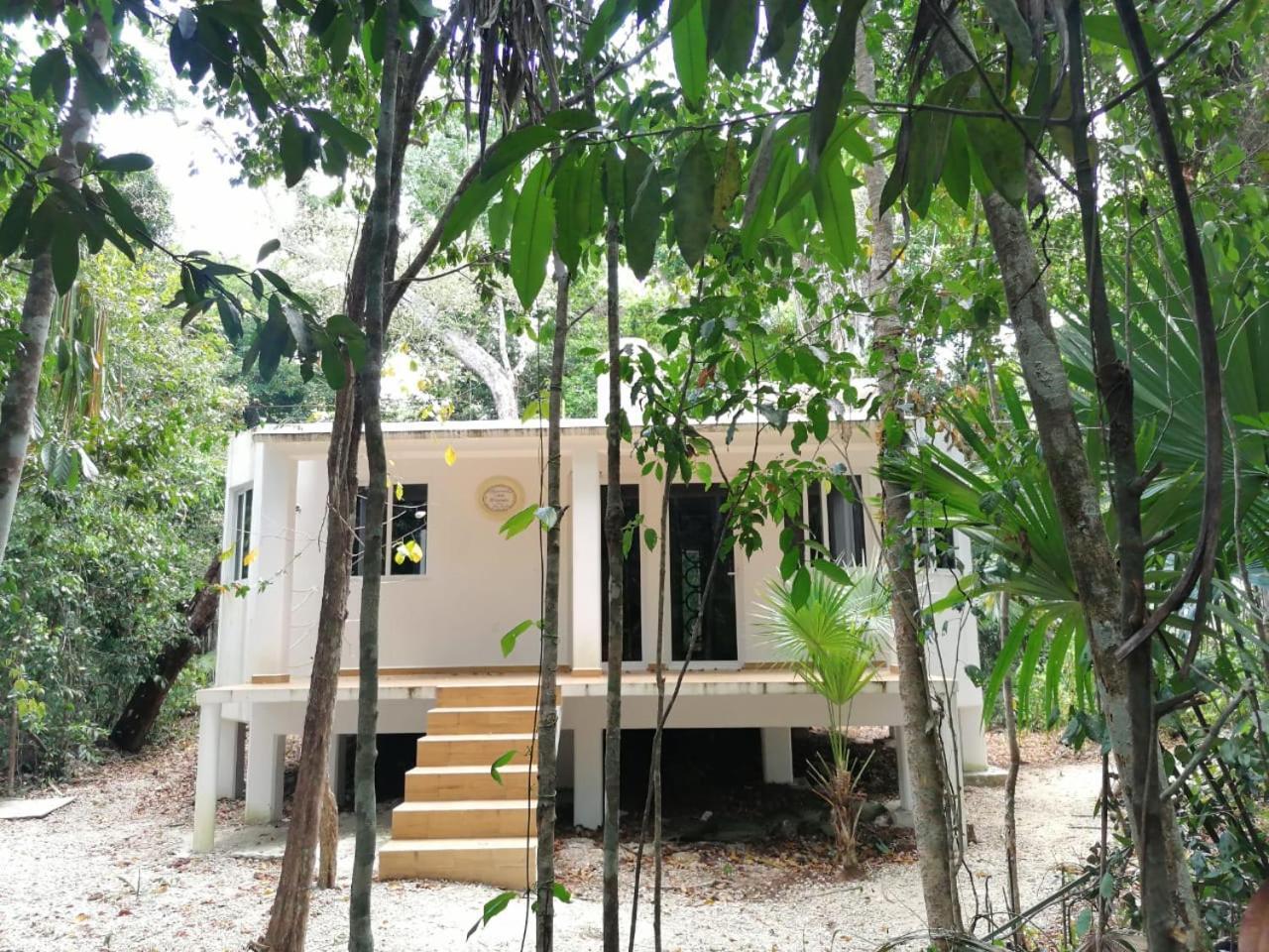 Jolie Jungle Eco Hotel (Adults Only) Leona Vicario المظهر الخارجي الصورة