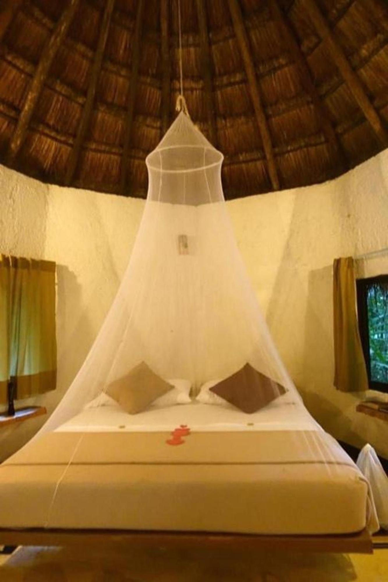 Jolie Jungle Eco Hotel (Adults Only) Leona Vicario المظهر الخارجي الصورة
