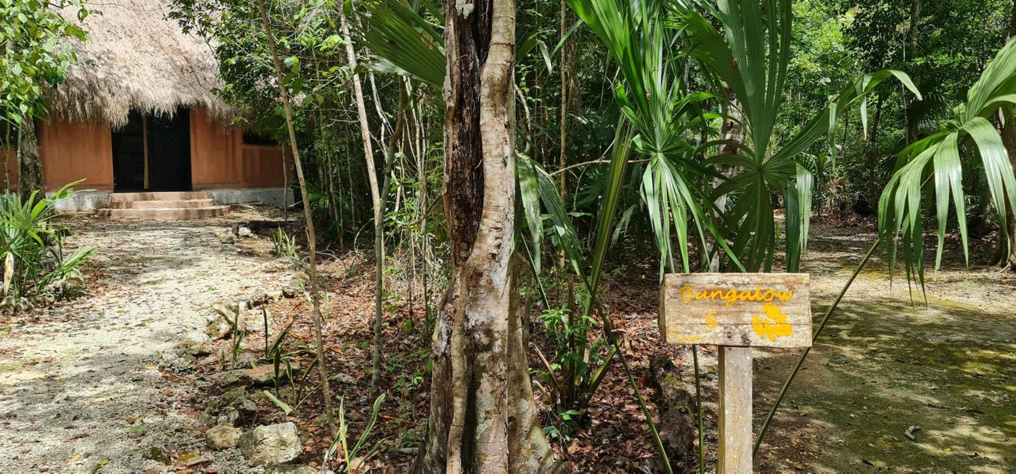 Jolie Jungle Eco Hotel (Adults Only) Leona Vicario المظهر الخارجي الصورة