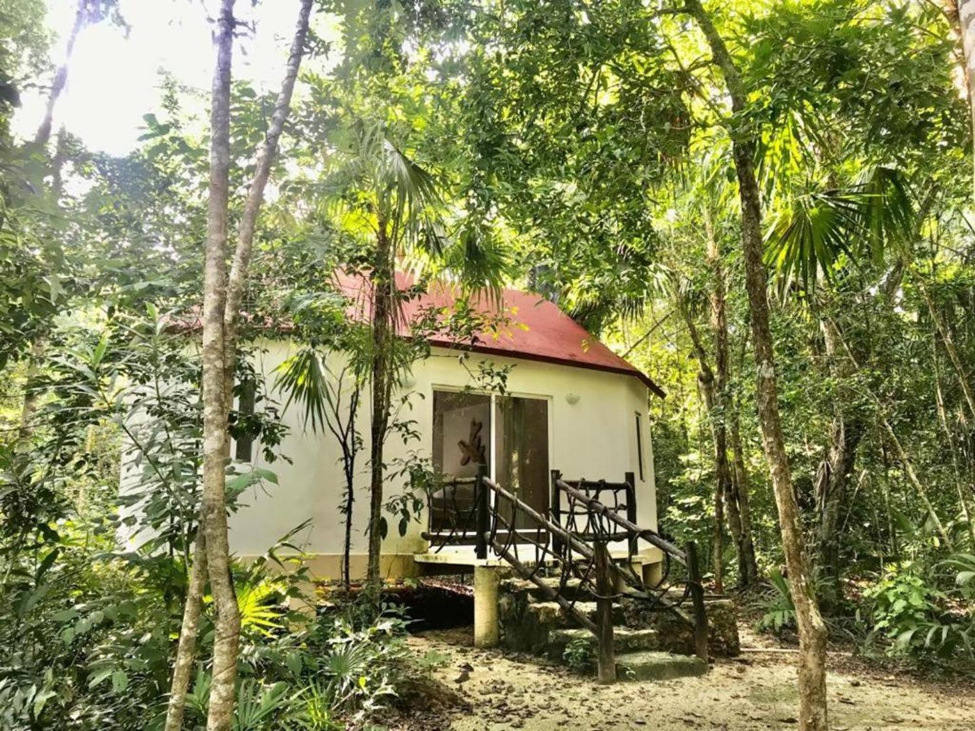Jolie Jungle Eco Hotel (Adults Only) Leona Vicario المظهر الخارجي الصورة