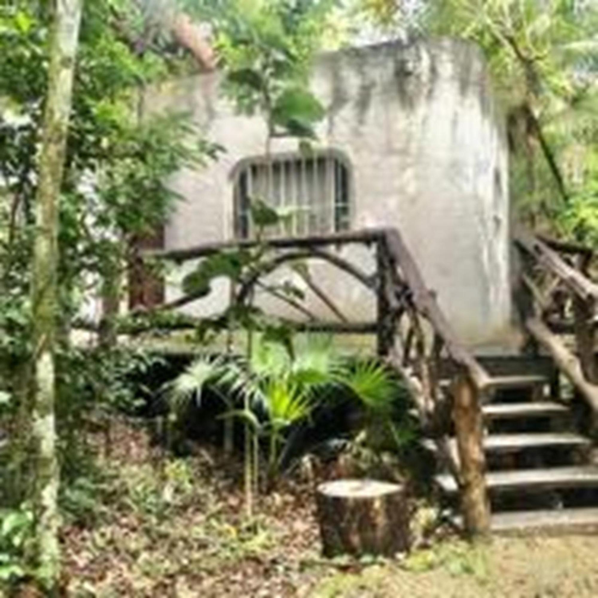 Jolie Jungle Eco Hotel (Adults Only) Leona Vicario المظهر الخارجي الصورة