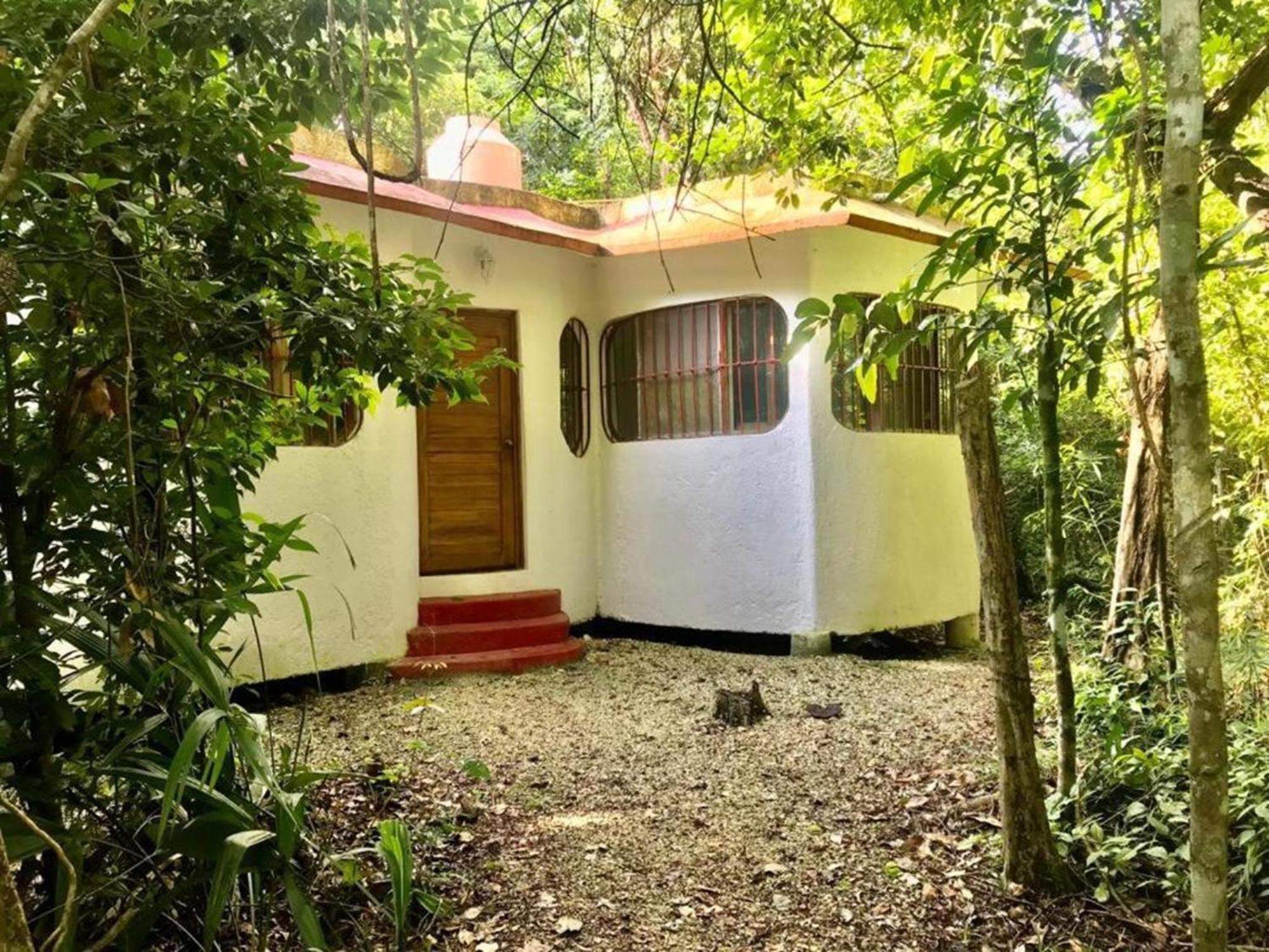 Jolie Jungle Eco Hotel (Adults Only) Leona Vicario المظهر الخارجي الصورة